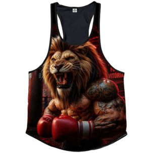 Boxe-03